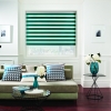 Vision-blinds