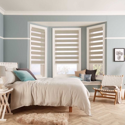 zebra vision blinds