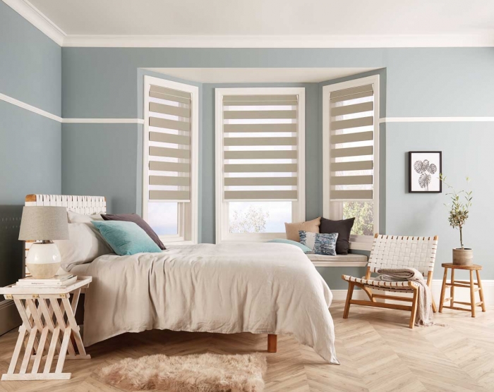 zebra vision blinds