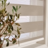 zebra vision blinds