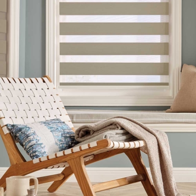 zebra vision blinds