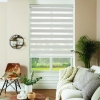 Vision-blinds